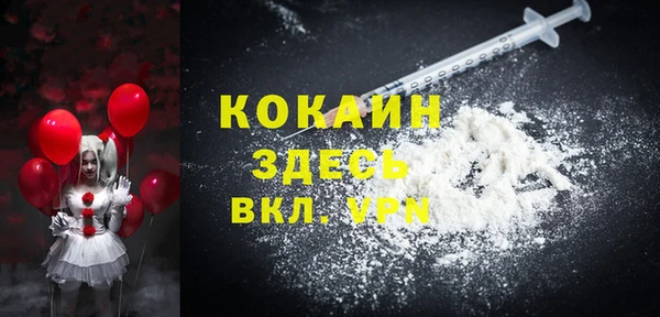 дмт Няндома