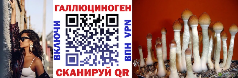 Галлюциногенные грибы GOLDEN TEACHER  Купить  Оха 