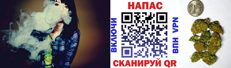 Канабис конопля  Купить где  Оха 